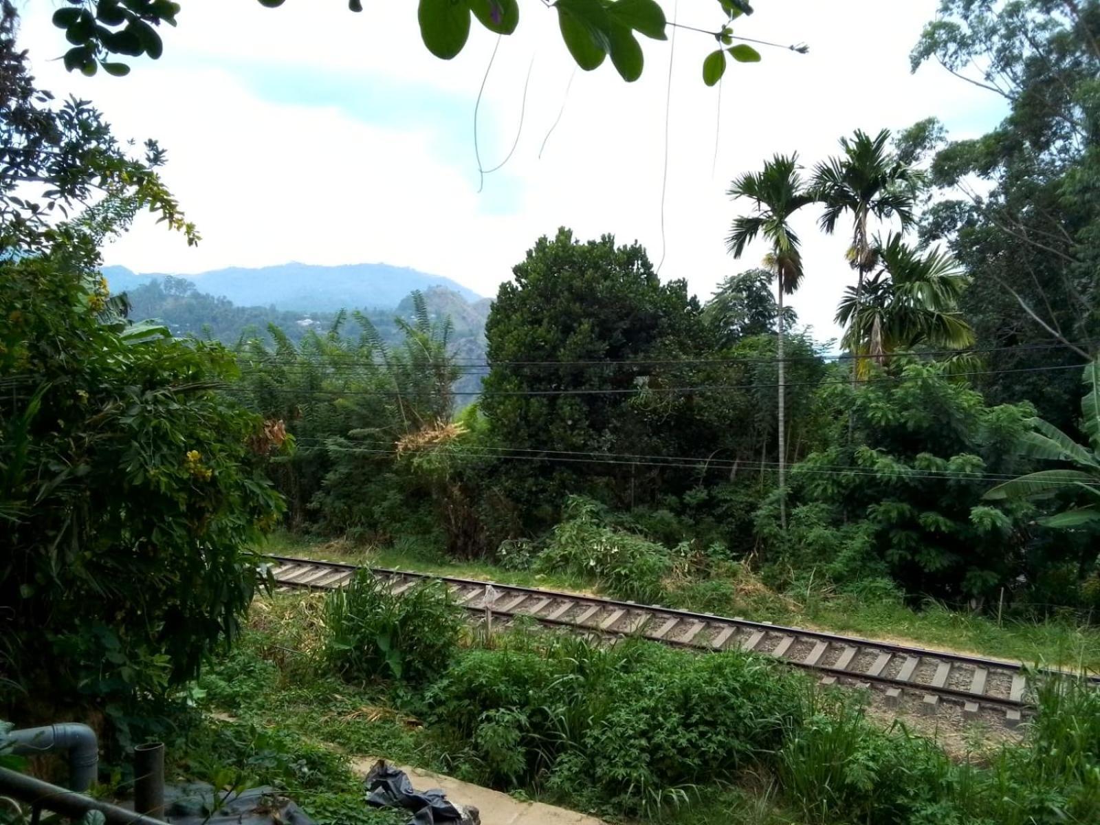Charming View Homestay Ella Exterior photo